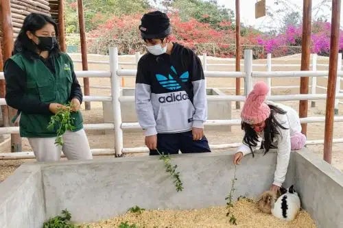 Foto: ANDINA/difusión.