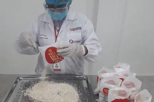 Qali Warma realiza un control de calidad exhaustivo de los alimentos que distribuye. Foto: ANDINA/Midis