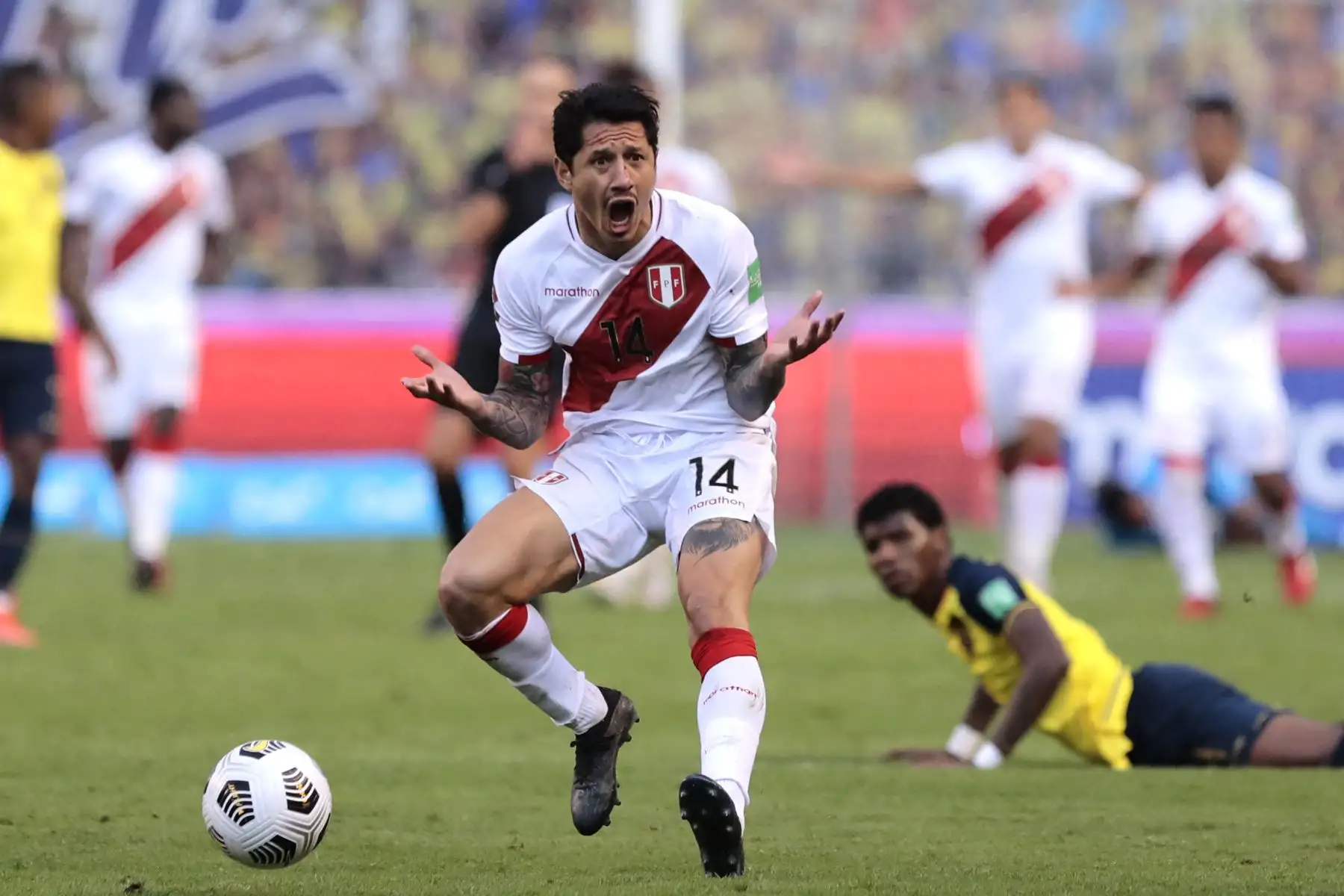 Gianluca Lapadula . Foto: AFP