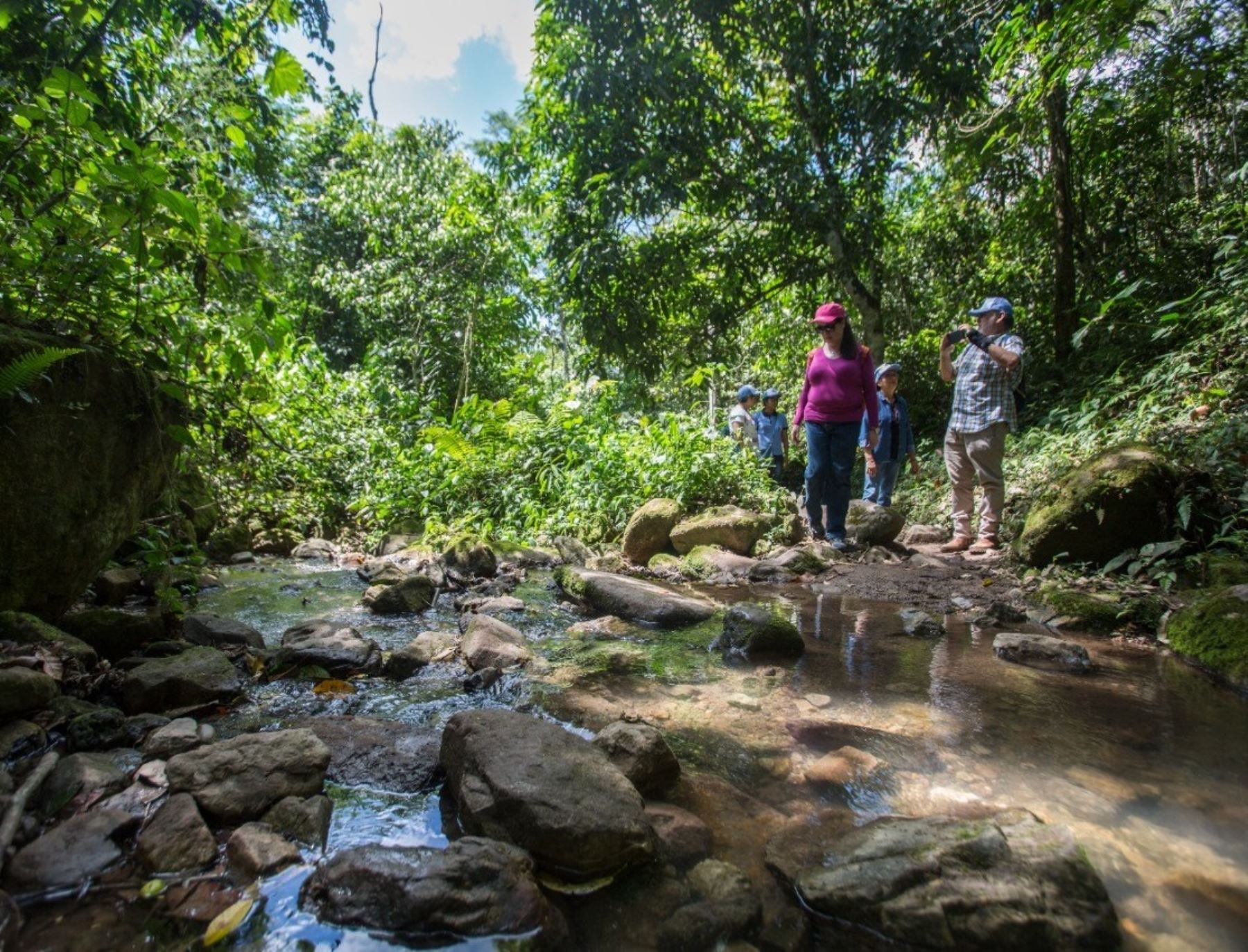 San Martín apuesta por la recuperación de bosques para proteger sus fuentes de agua. La EPS Moyobamba realizó un estudio técnico que propone ejecutar varias iniciativas de servicios ecosistémicos.