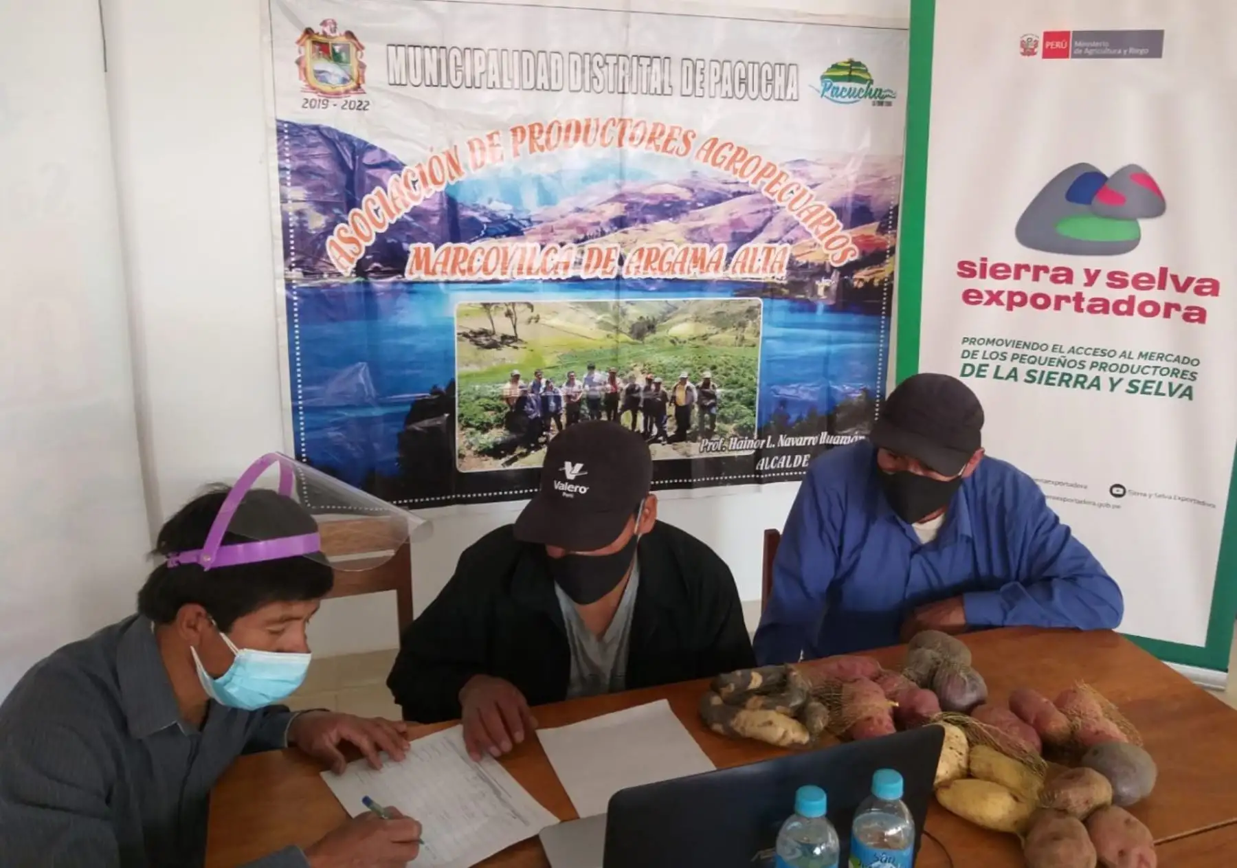 Productores de papa de diversas regiones del país se beneficiaron con la Rueda de negocios virtual que organizó Sierra y Selva Exportadora y que generó intenciones de compra por más de 500 toneladas.