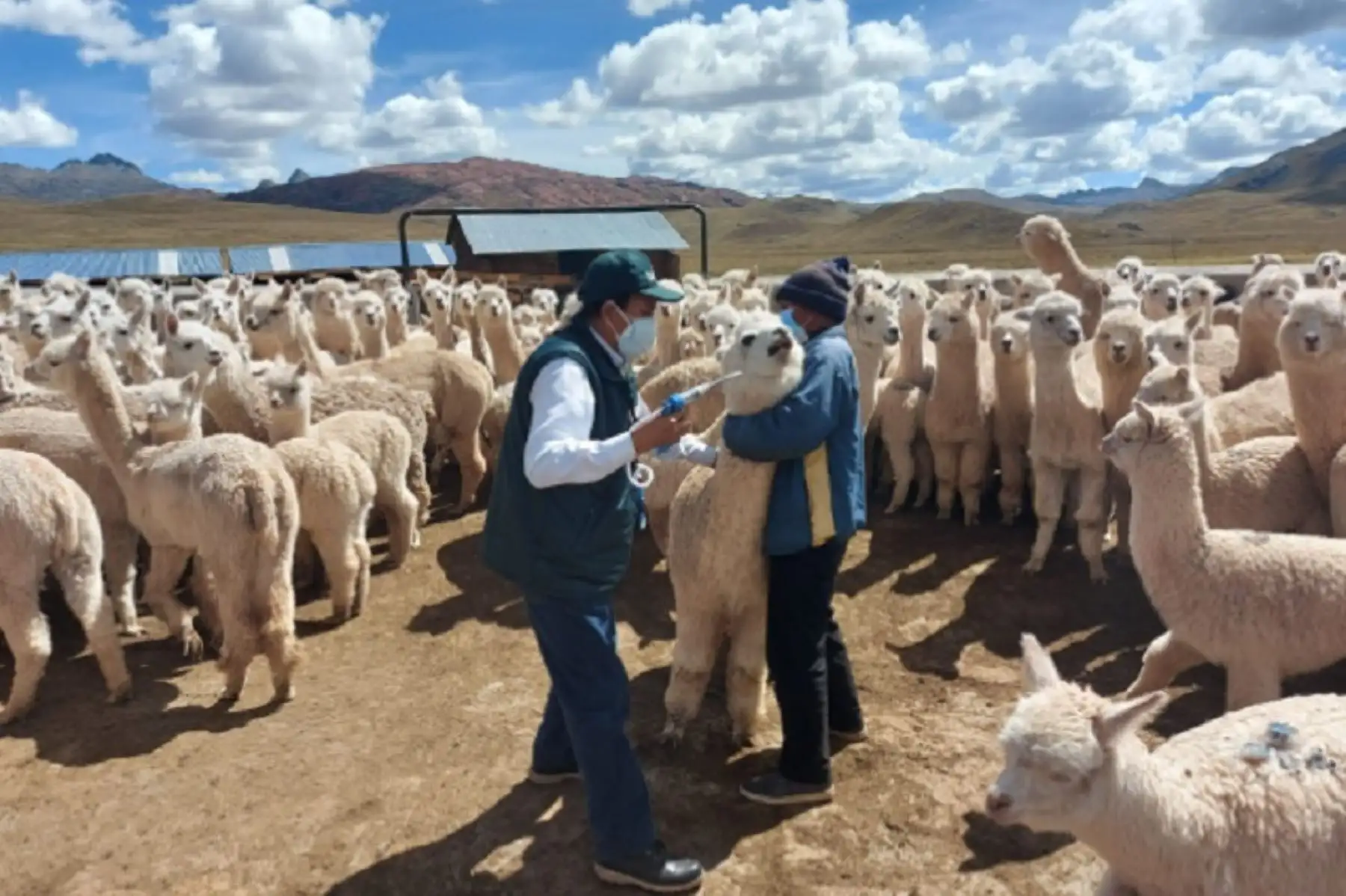 Foto: ANDINA/Difusión.