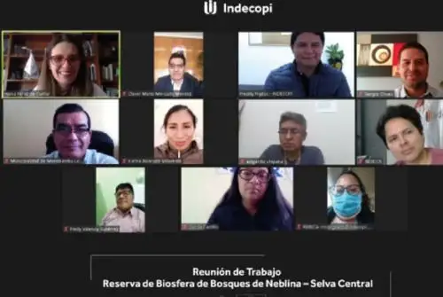 La presidenta Ejecutiva del Indecopi, Hania Pérez de Cuéllar, ofreció las herramientas de propiedad intelectual a las autoridades de las provincias de Tarma, Jauja, Concepción Chanchamayo y Satipo, que comprenden la zona del “Bosque de Neblina Selva Central” para que puedan emplearlas en la puesta en valor de sus actividades económicas. Foto: Indecopi