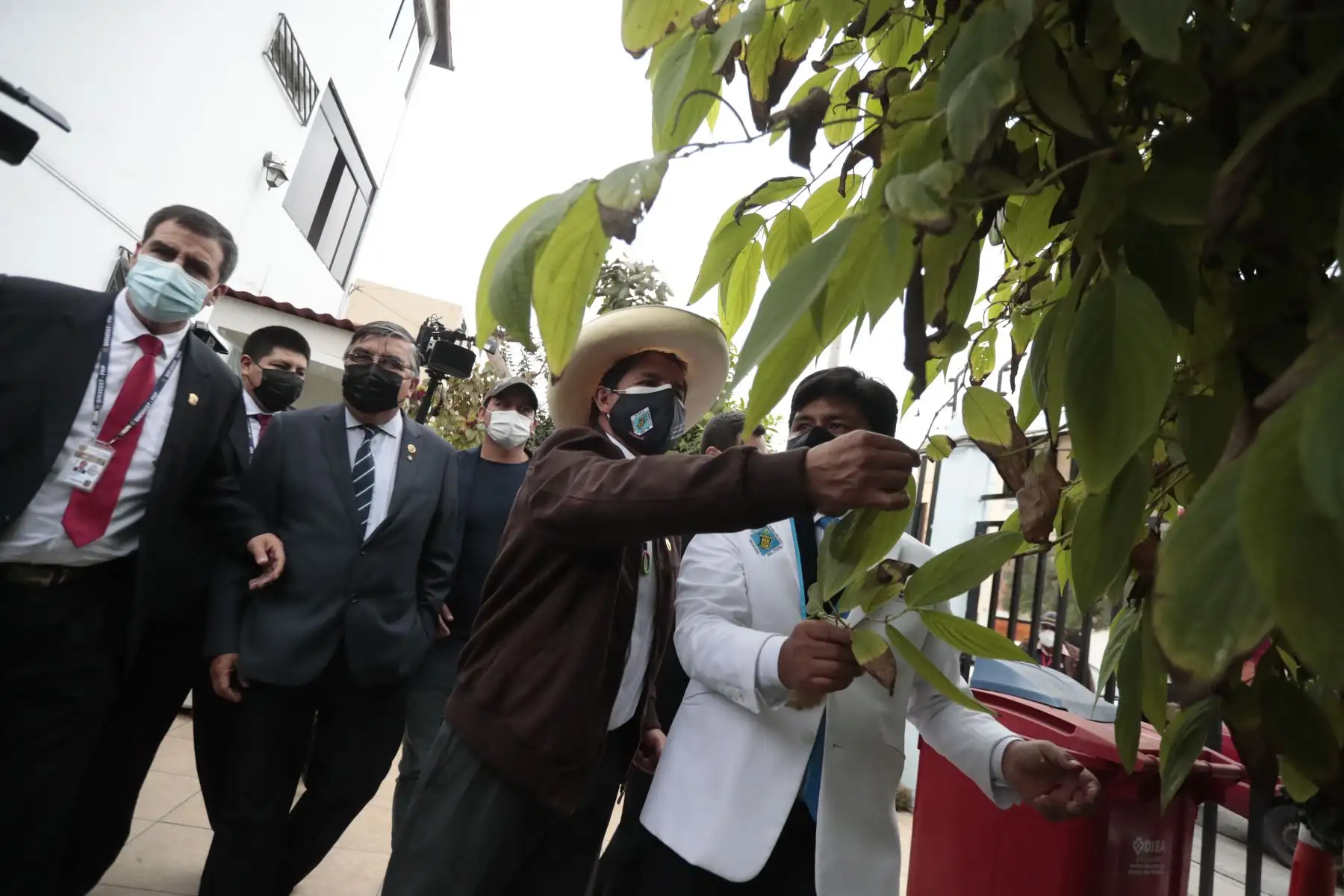 Pedro Castillo se reúne con integrantes del Colegio Químico Farmacéutico del Perú. Foto: ANDINA/Renato Pajuelo