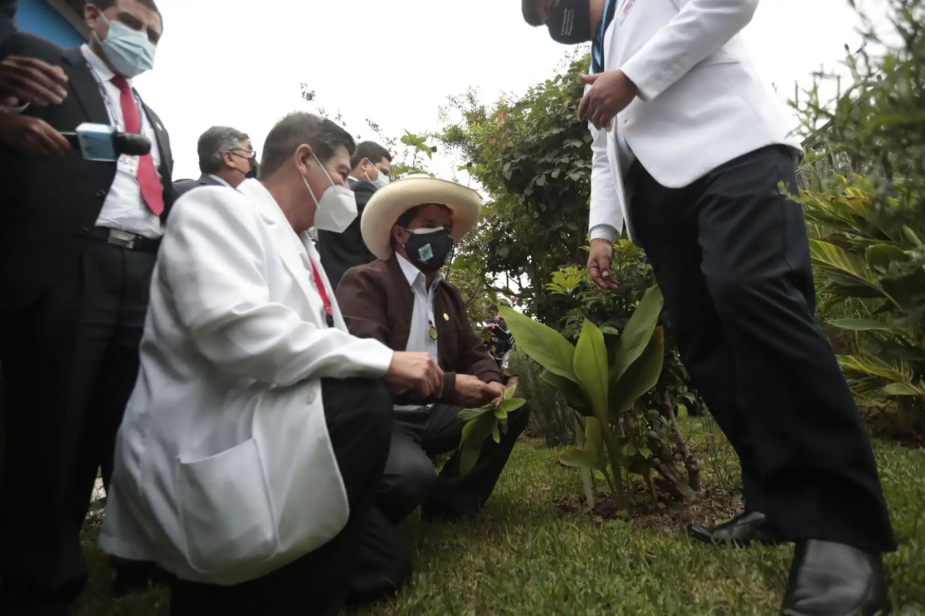 Pedro Castillo se reúne con integrantes del Colegio Químico Farmacéutico del Perú. Foto: ANDINA/Renato Pajuelo