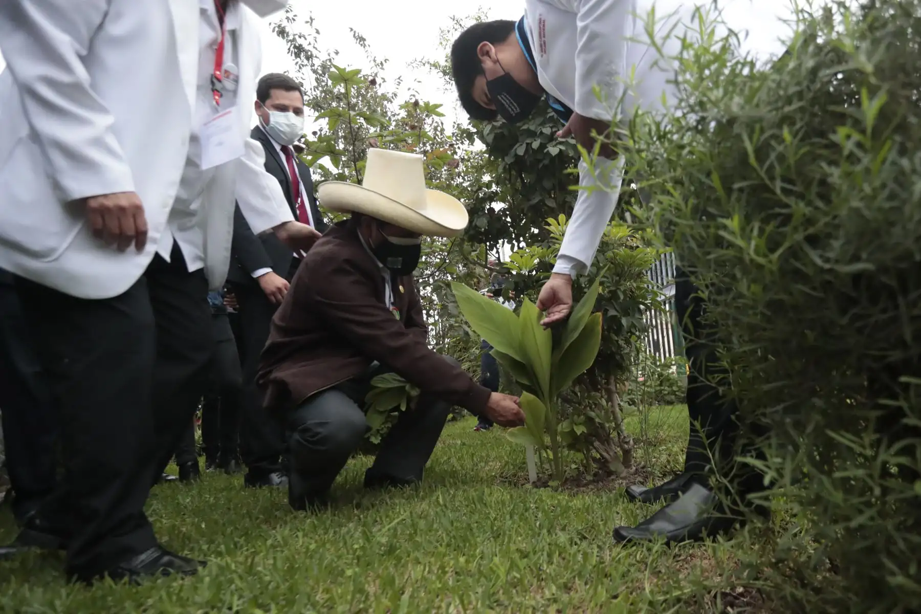 Pedro Castillo se reúne con integrantes del Colegio Químico Farmacéutico del Perú. Foto: ANDINA/Renato Pajuelo