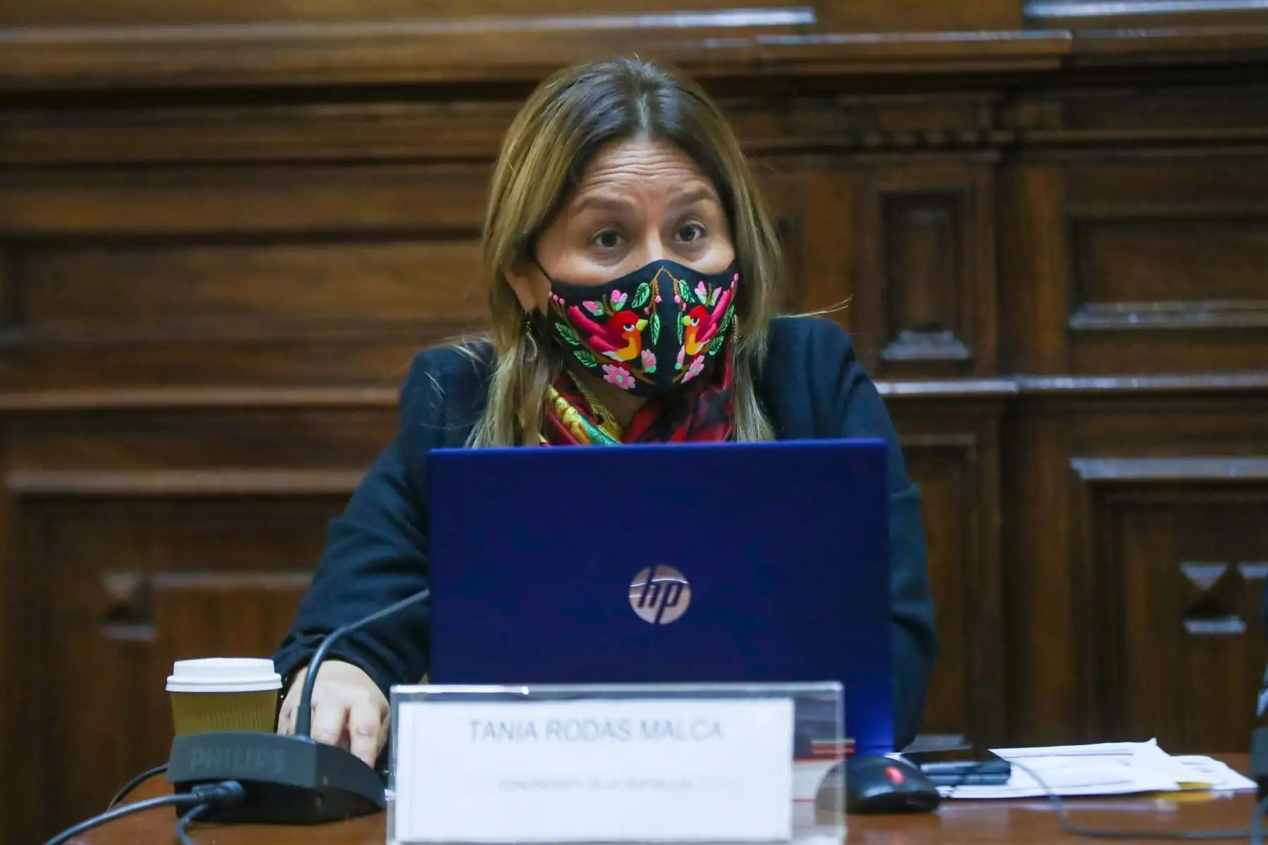 Comisión Especial de selección de candidatos aptos para la elección de magistrados de Tribunal Constitucional. Congresista Tania Rodas. Foto: Congreso