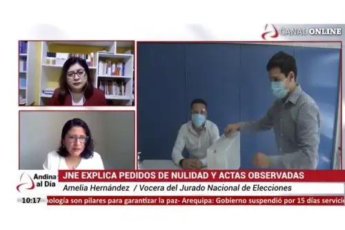 Amelia Hernández, especialista del JNE, entrevistada en el programa Andina al Día.