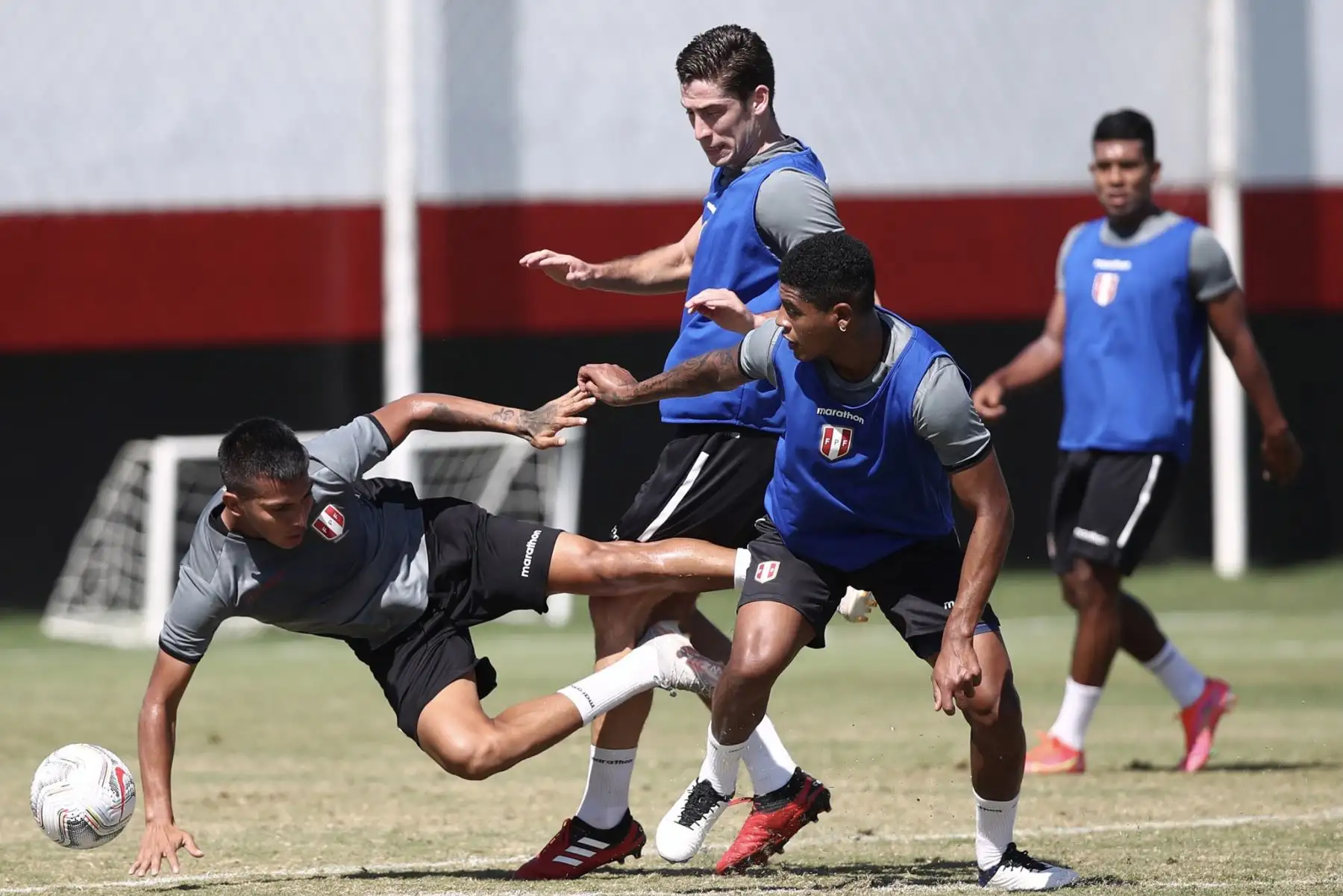 A un día del duelo ante Ecuador, la selección peruana continuó con su preparación en el campo de entrenamiento del Atlético Goianense con la mira puesta en afrontar su tercer encuentro en esta Copa América 2021.
Foto: Selección Peruana
