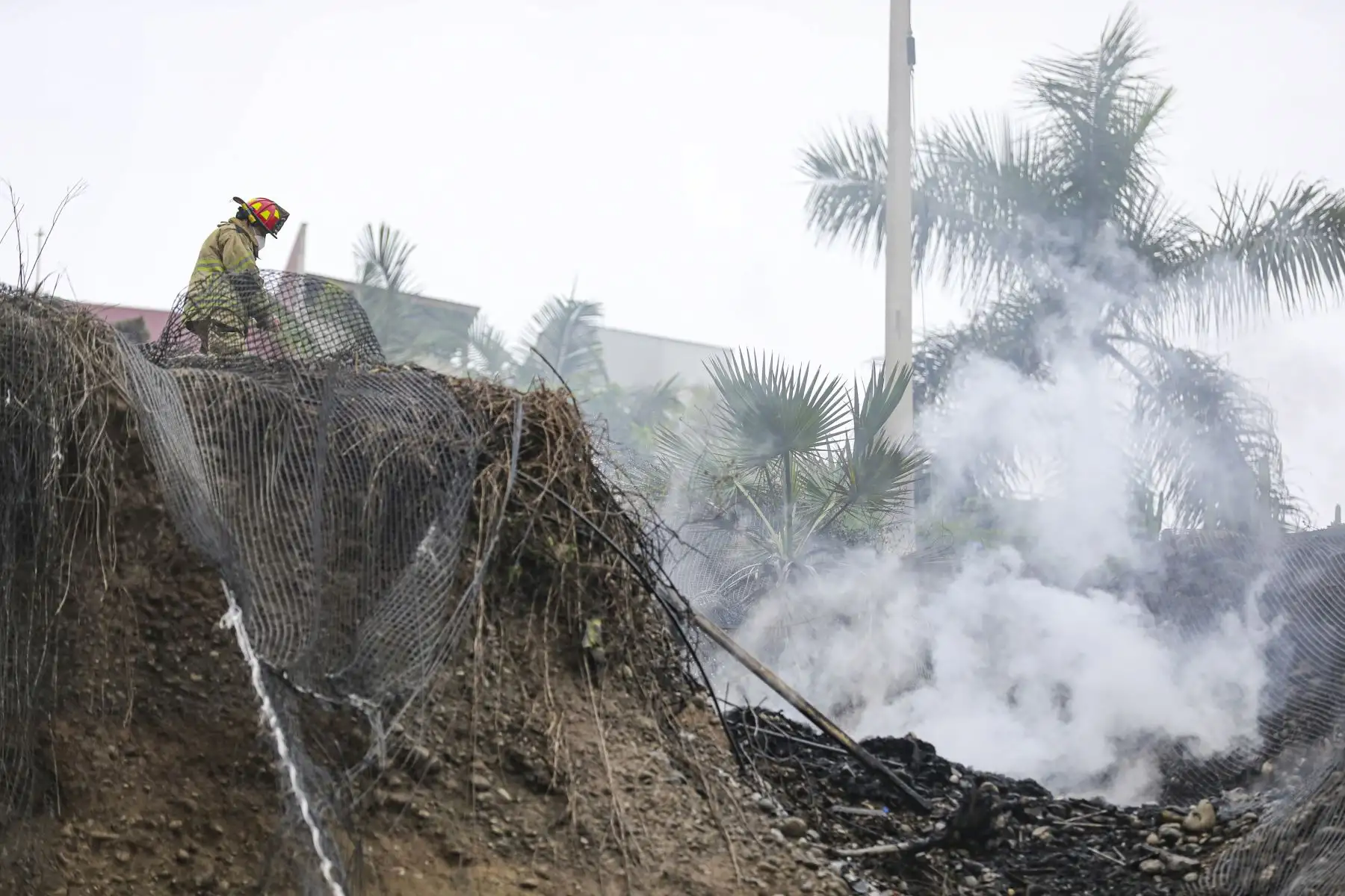 E alcalde de Lima, Jorge Muñoz, supervisa labores de limpieza en Costa Verde tras sismo de 6 grados que generó desprendimientos de piedras en la vía. Foto: MML
