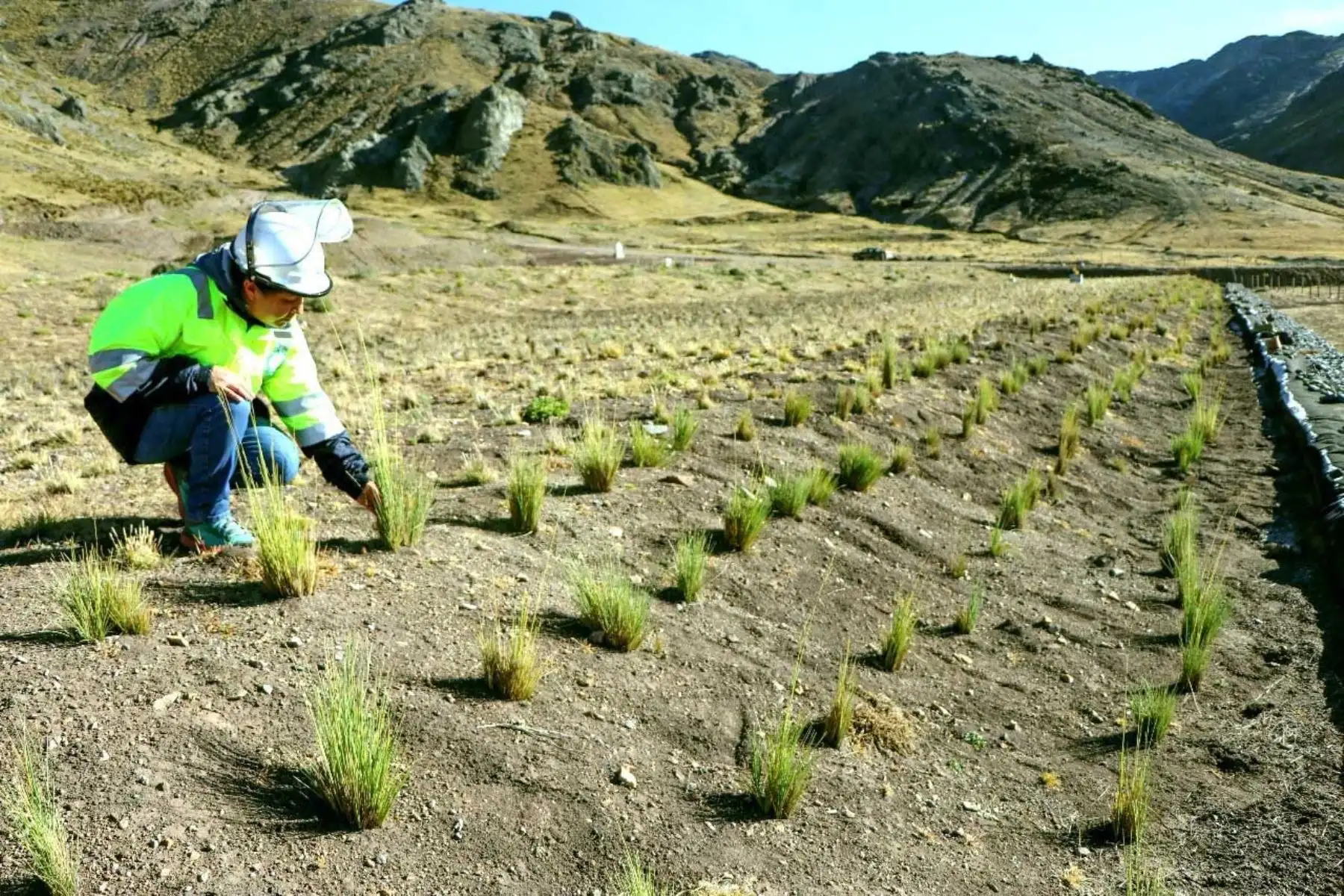 Remediación ambiental en proyecto Acobamba. Foto: Cortesía.