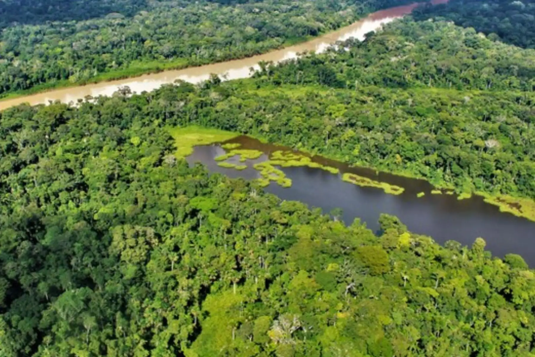 Medio ambiente: Gobierno prioriza la conservación de áreas naturales protegidas