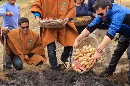Al celebrarse el Día del Campesino cabe destacar experiencias que combinan con éxito el turismo vivencial y la actividad agrícola, como la Ruta de la Papa en la región Ayacucho, que permite conocer y aprender sobre la emblemática papa y otros tubérculos andinos como olluco, mashua y oca, entre otros de gran valor nutricional y cultural.