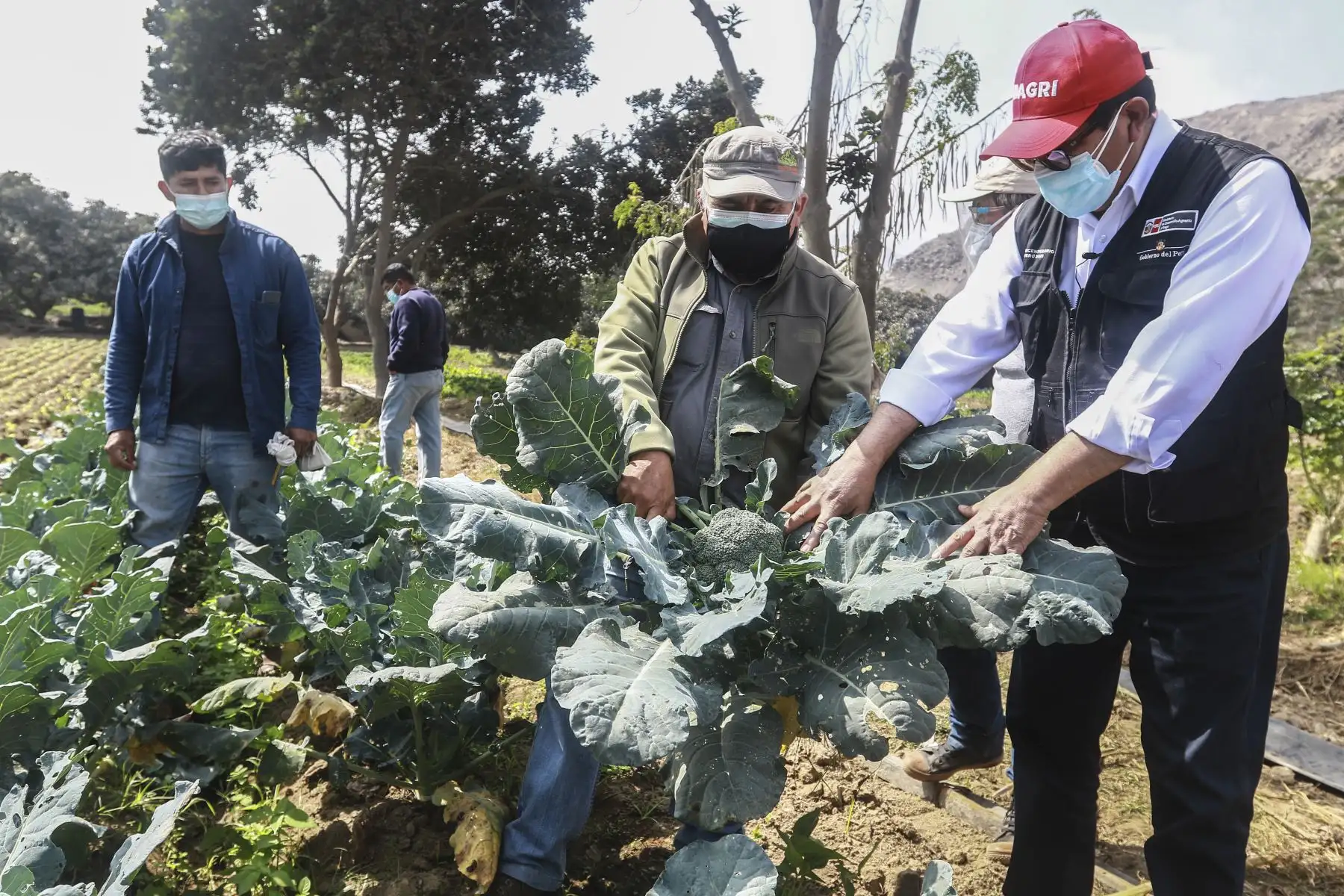 El ministro de Desarrollo Agrario y Riego, Federico Tenorio, participó en la entrega del Reglamento de Compras Estatales a productores agrícolas del valle Chillón, que beneficiará a más de 2.2 millones de pequeños productores del país. Agricultores de la zona participaron del evento. Foto: ANDINA/Jhonel Rodríguez Robles