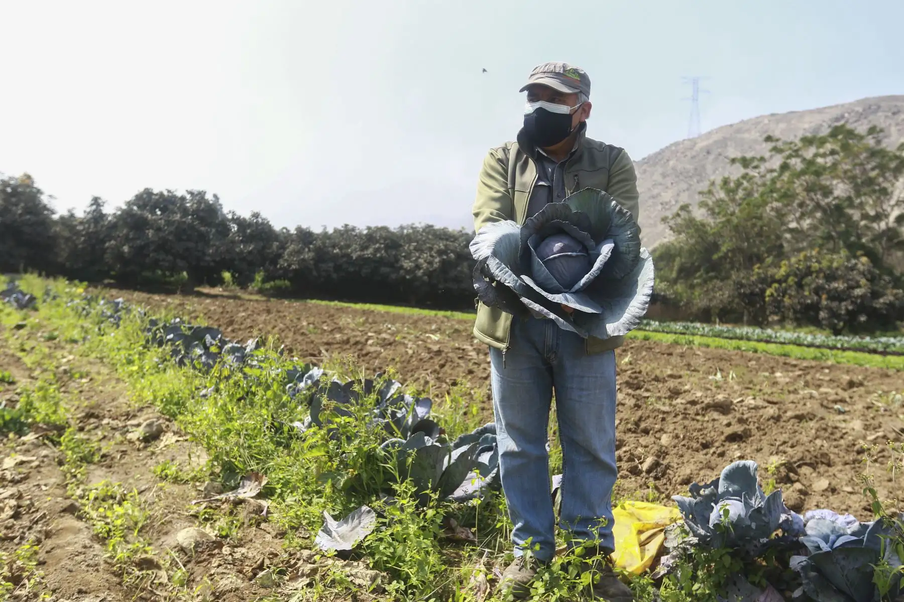 El ministro de Desarrollo Agrario y Riego, Federico Tenorio, participó en la entrega del Reglamento de Compras Estatales a productores agrícolas del valle Chillón, que beneficiará a más de 2.2 millones de pequeños productores del país. Agricultores de la zona participaron del evento. Foto: ANDINA/Jhonel Rodríguez Robles