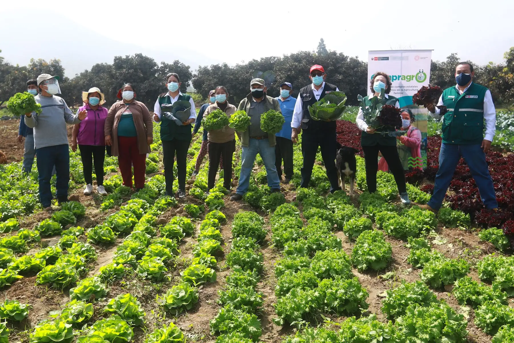 El ministro de Desarrollo Agrario y Riego, Federico Tenorio, participó en la entrega del Reglamento de Compras Estatales a productores agrícolas del valle Chillón, que beneficiará a más de 2.2 millones de pequeños productores del país. Agricultores de la zona participaron del evento. Foto: ANDINA/Jhonel Rodríguez Robles