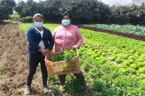 Agricultores. ANDINA/Jhonel Rodríguez Robles
