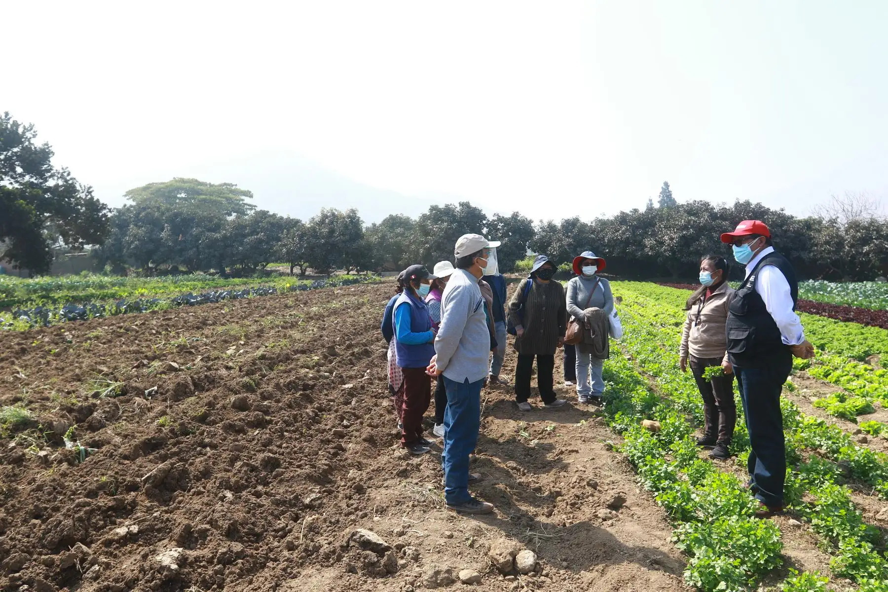 El ministro de Desarrollo Agrario y Riego, Federico Tenorio, participó en la entrega del Reglamento de Compras Estatales a productores agrícolas del valle Chillón, que beneficiará a más de 2.2 millones de pequeños productores del país. Agricultores de la zona participaron del evento. Foto: ANDINA/Jhonel Rodríguez Robles