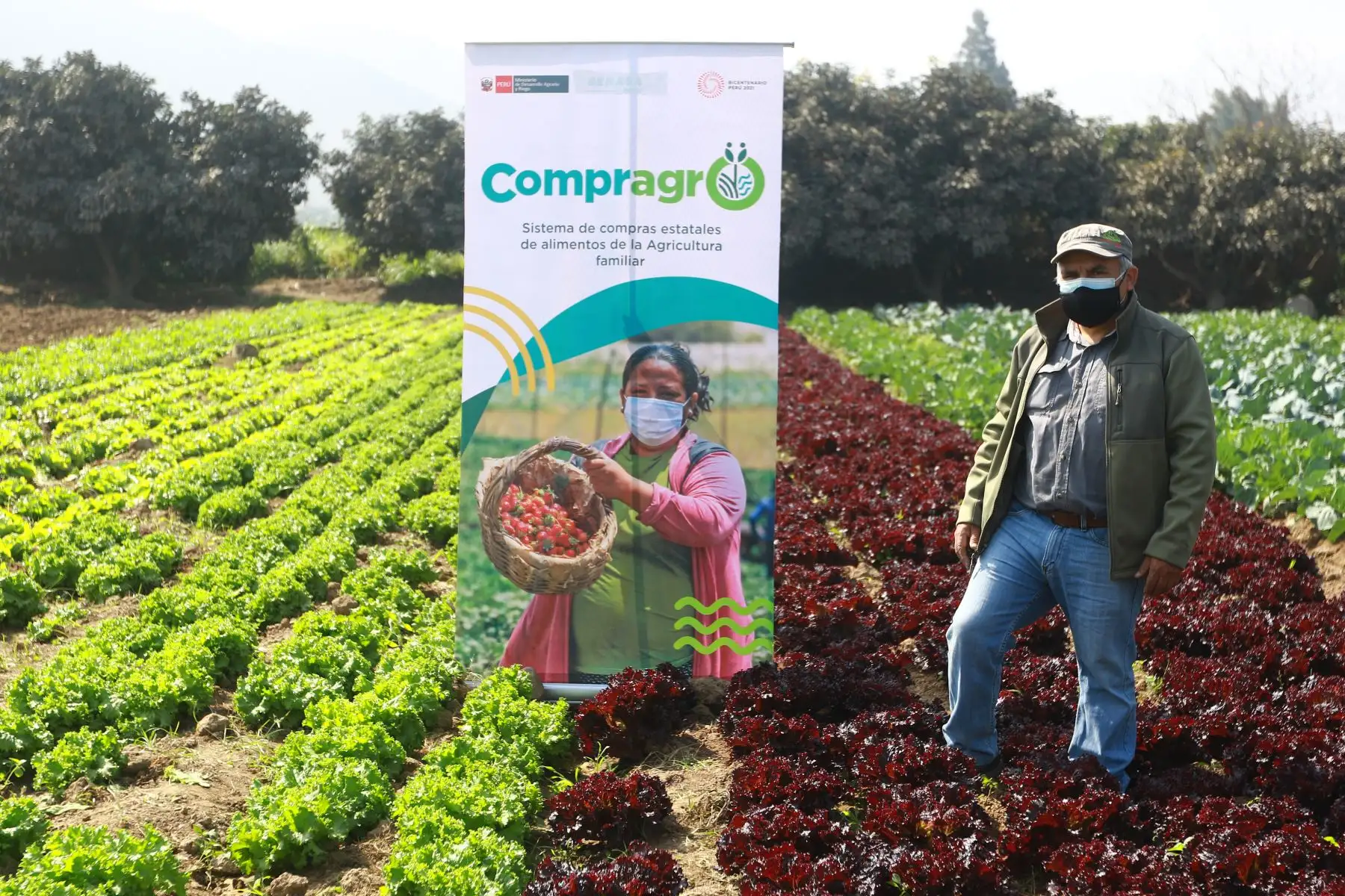 El ministro de Desarrollo Agrario y Riego, Federico Tenorio, participó en la entrega del Reglamento de Compras Estatales a productores agrícolas del valle Chillón, que beneficiará a más de 2.2 millones de pequeños productores del país. Agricultores de la zona participaron del evento. Foto: ANDINA/Jhonel Rodríguez Robles