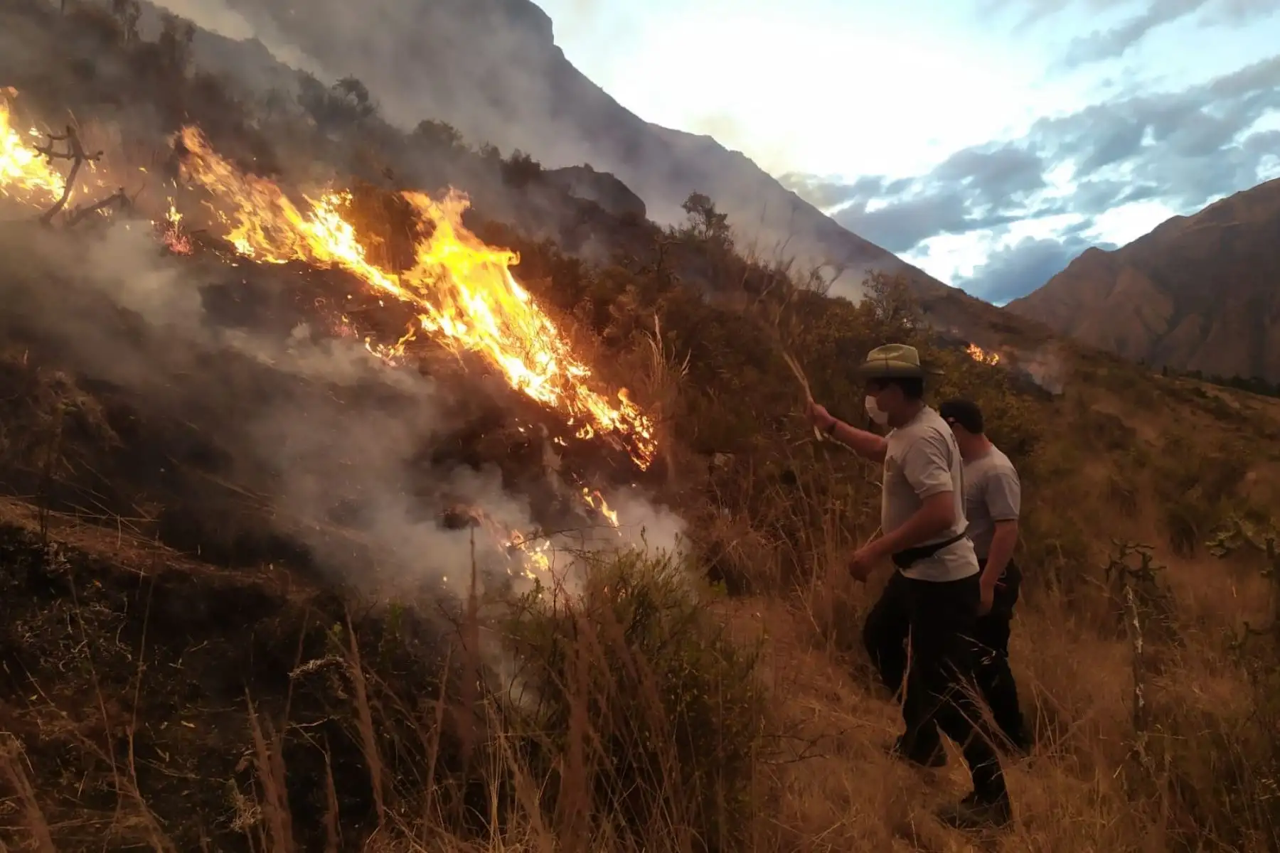 Incendio forestal en Pisac habría sido originado por un ciudadano argentino durante un pago a la tierra. Foto: ANDINA/difusión.