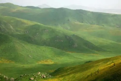 Un hermoso espectáculo de la naturaleza se vive en la Reserva Nacional de Lachay: el inicio de la temporada de lomas, un evento natural que está marcado por la floración del Amancaes y que en el transcurso de los días darán un bello color amarillo y verde a esta zona costera de la región Lima. Foto: Sernanp