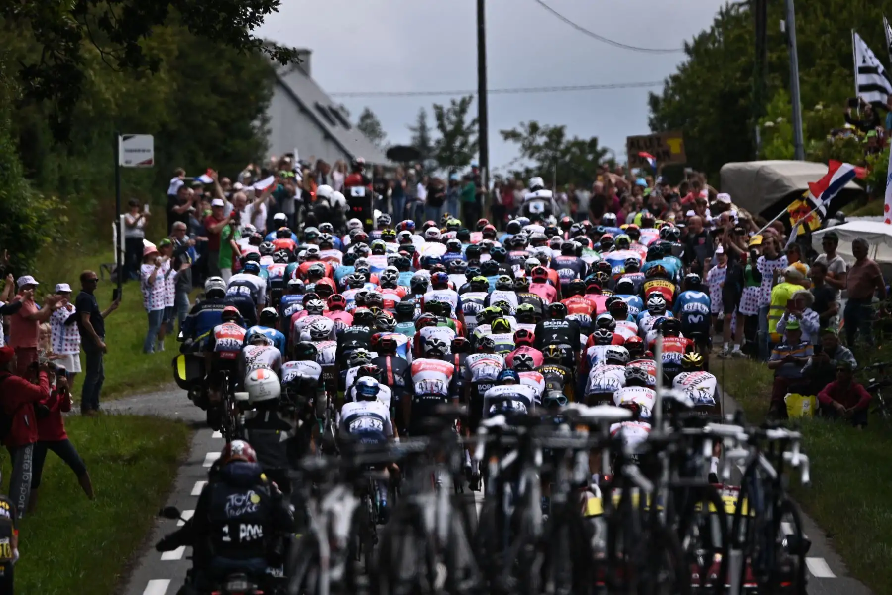 Un grupo de ciclistas corre durante la 2a etapa de la 108a edición de la carrera ciclista Tour de Francia, 183 km entre Perros-Guirrec y Mur de Bretagne Guerledan.
Foto: AFP