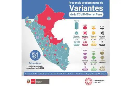 El reporte revela que, de las 1,714 muestras analizadas por el equipo de especialistas del INS, la variante Lambda está presente en 1,228 casos. ANDINA/ Minsa