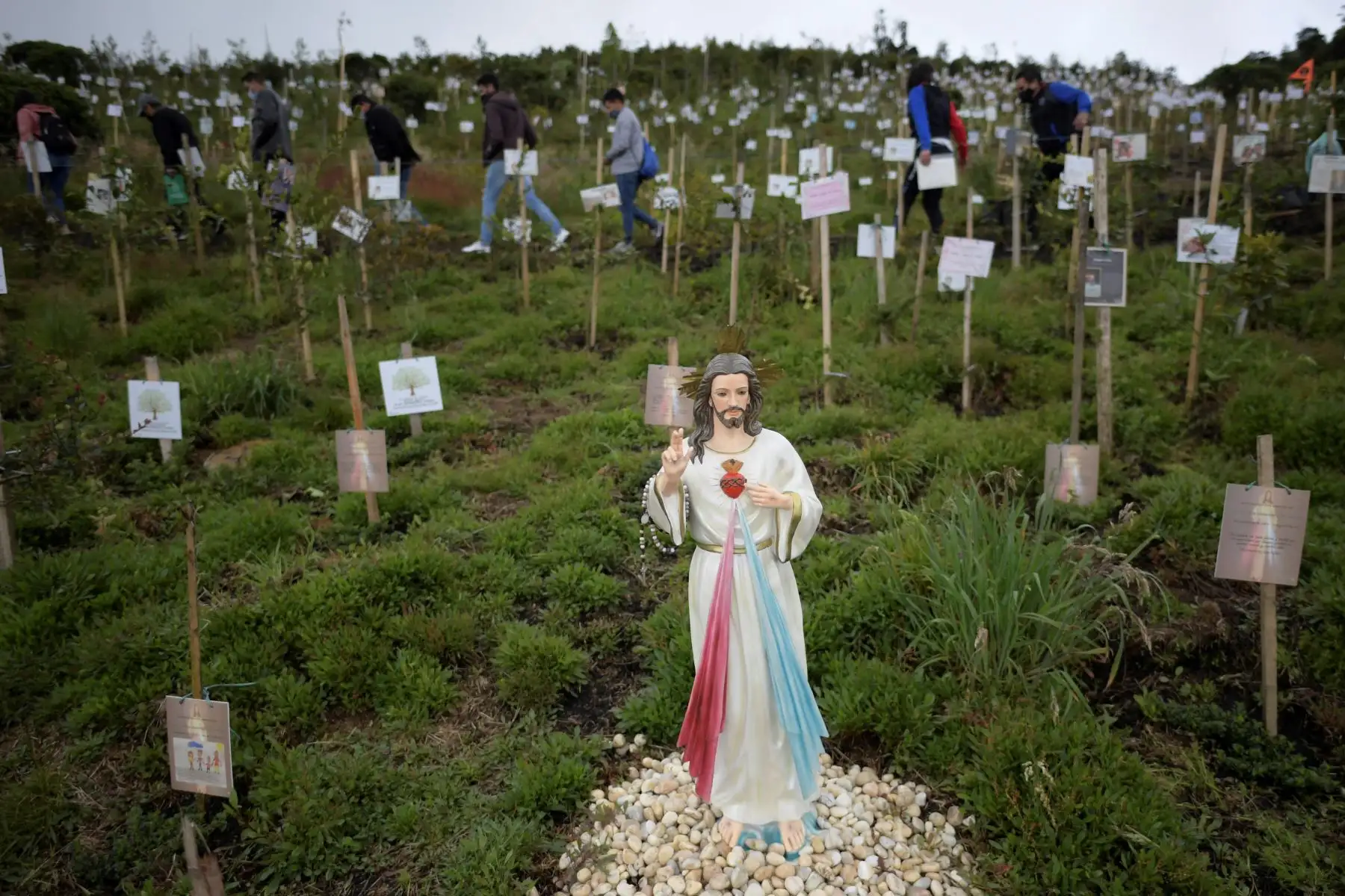 Familiares de víctimas del covid-19 esparcen sus cenizas en huecos donde plantan árboles durante un homenaje a sus seres queridos y como parte del programa Cenizas Fuente de Vida de una ONG ambiental, en Colombia. Foto: AFP