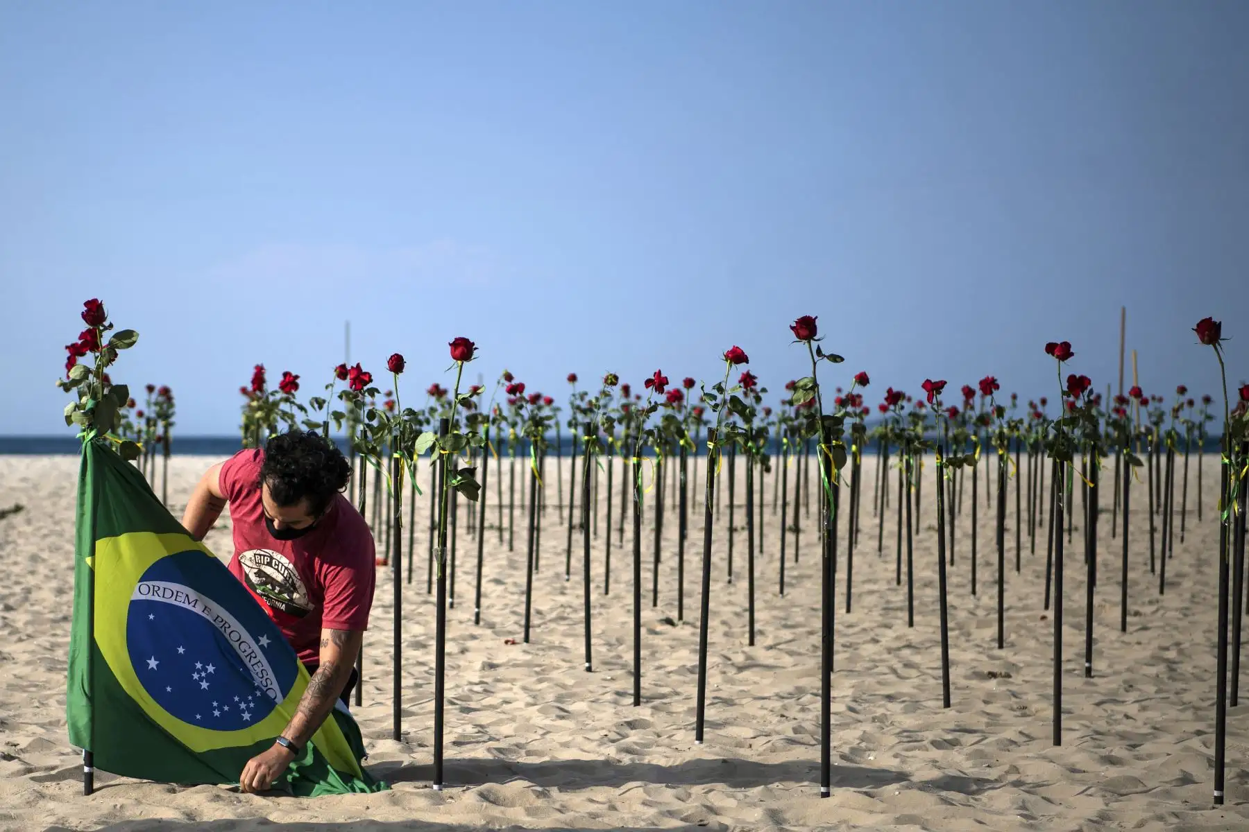 Un hombre coloca la bandera brasileña junto a rosas en la playa de Copacabana en manifestación y memoria del medio millón de víctimas del covid-19, en Río de Janeiro, Brasil. Foto: AFP