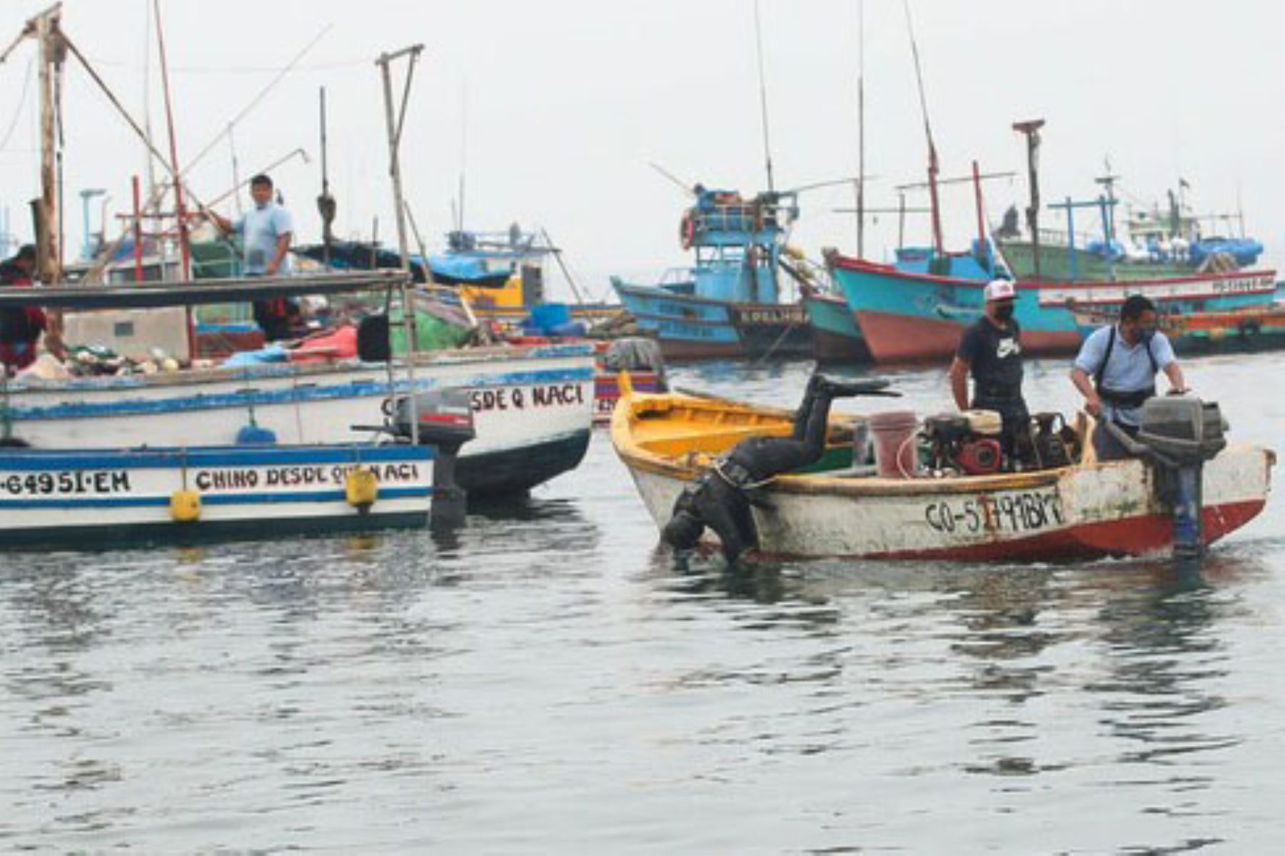 La acción de los pescadores artesanales conservacionistas se enmarca en los lineamientos que impulsa el Minam a nivel nacional. ANDINA/ Minam