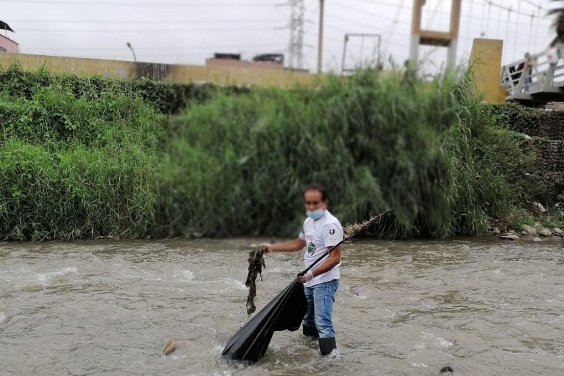 Voluntarios de organizaciones que protegen el ambiente encontraron 1.5 toneladas de deshechos de origen doméstico, pero también industrial o comercial en las aguas del río Chillón. ANDINA/ Andina