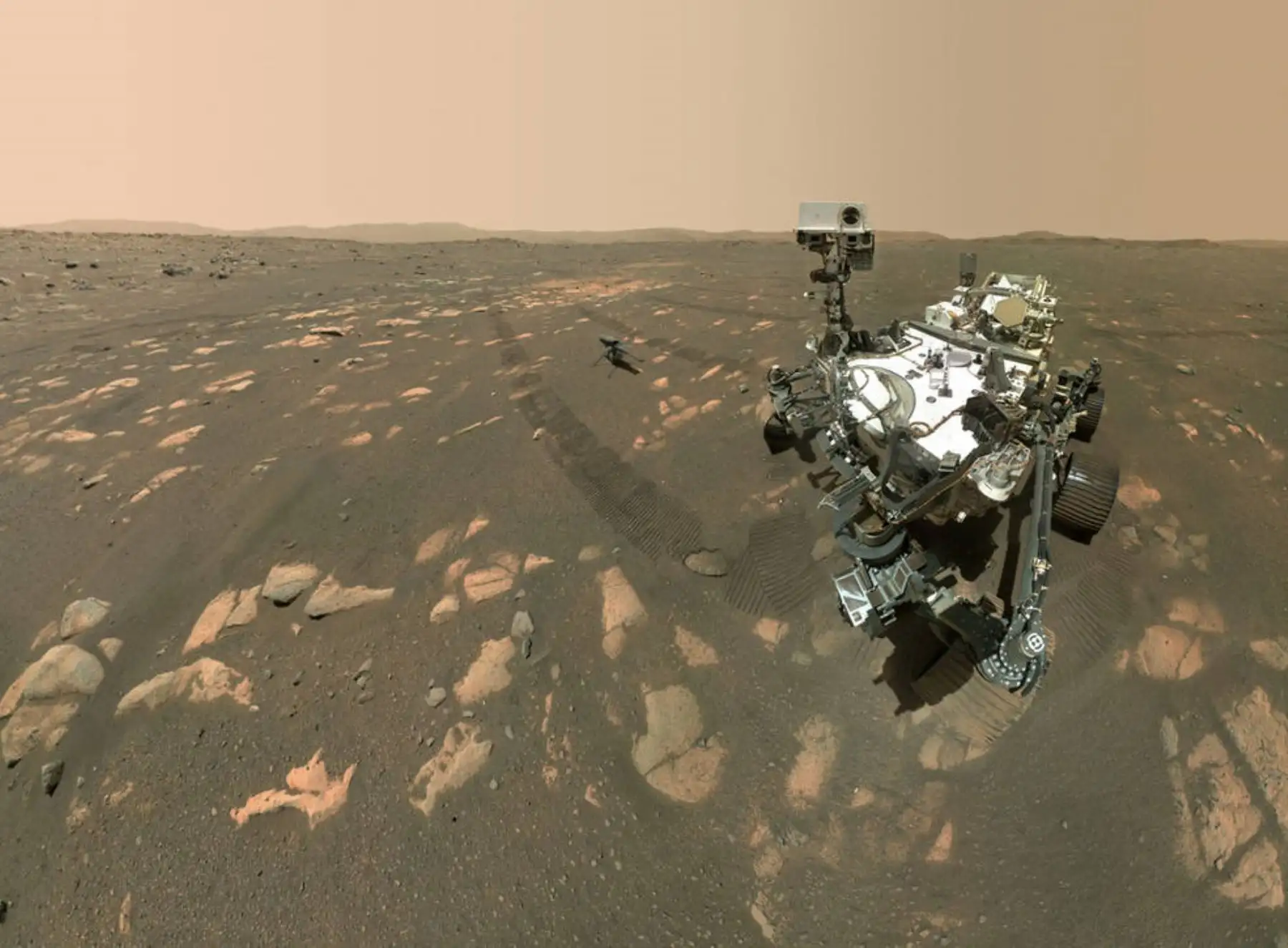 El selfie de Perseverance con Ingenuity se compone de 62 imágenes individuales unidas en la Tierra; fueron obtenidas secuencialmente mientras el rover miraba al helicóptero, y luego a la cámara WATSON. Créditos: NASA/JPL-Caltech/MSSS.