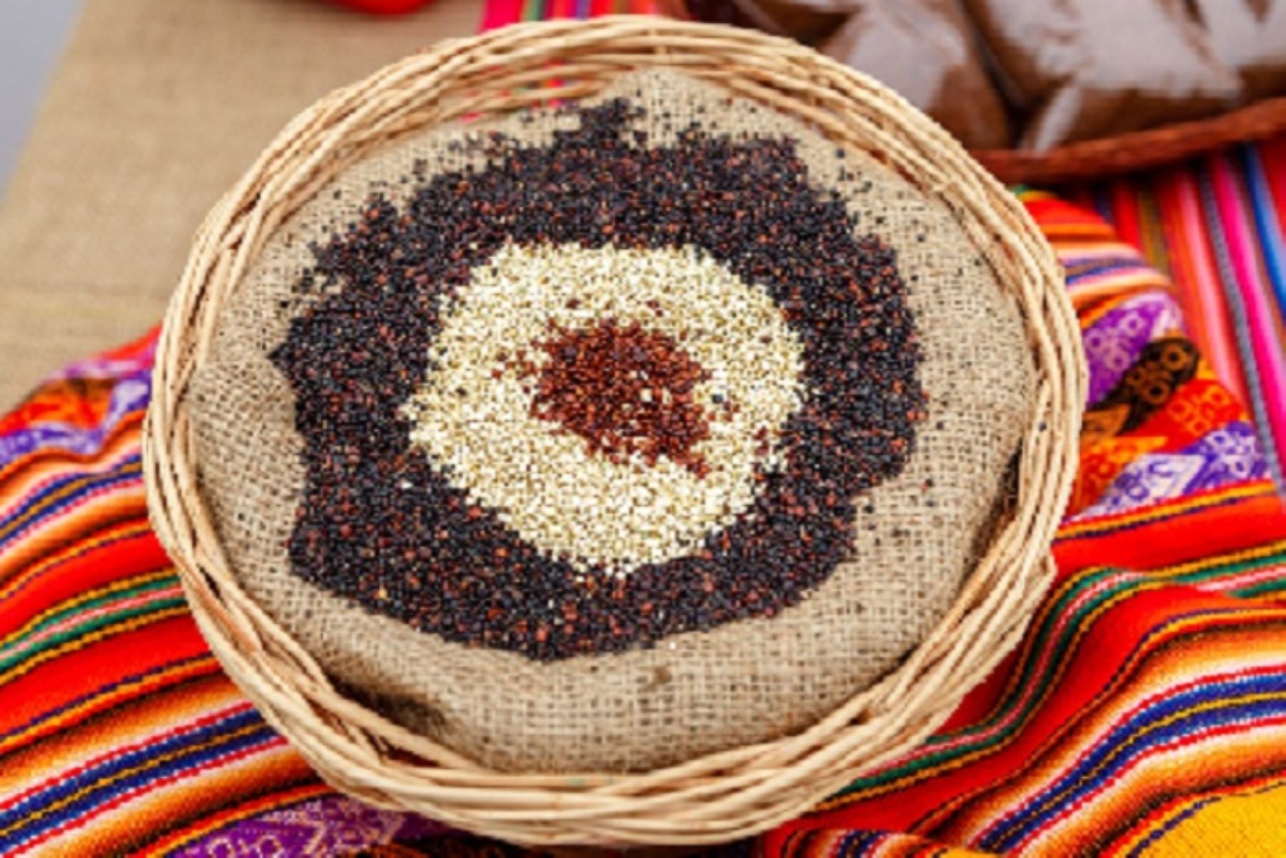 A la fecha, Agro Rural abastece a más de 665 mil familias a nivel nacional con la venta de granos andinos y otros alimentos provenientes de la agricultura familiar en sus mercados itinerantes