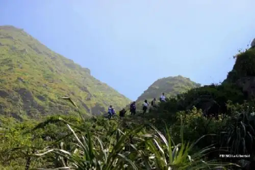 De las tres montañas que rodean Trujillo, el cerro Campana es el que mayor cantidad de especies alberga debido a su estado de conservación, contando así con más de 230 especies de flora.
