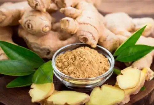 El kion o jengibre es rico en vitaminas C, B1 (tiamina), B2 (riboflavina), B3 (niacina), B5 (ácido pantoténico), B6 (piridoxina), B9 (ácido fólico) y E, así como minerales como calcio, fósforo, hierro, magnesio, manganeso, potasio, sodio y zinc. De esta manera, el kion constituye un superalimento que contribuye a fortalecer el sistema inmune de nuestro organismo.