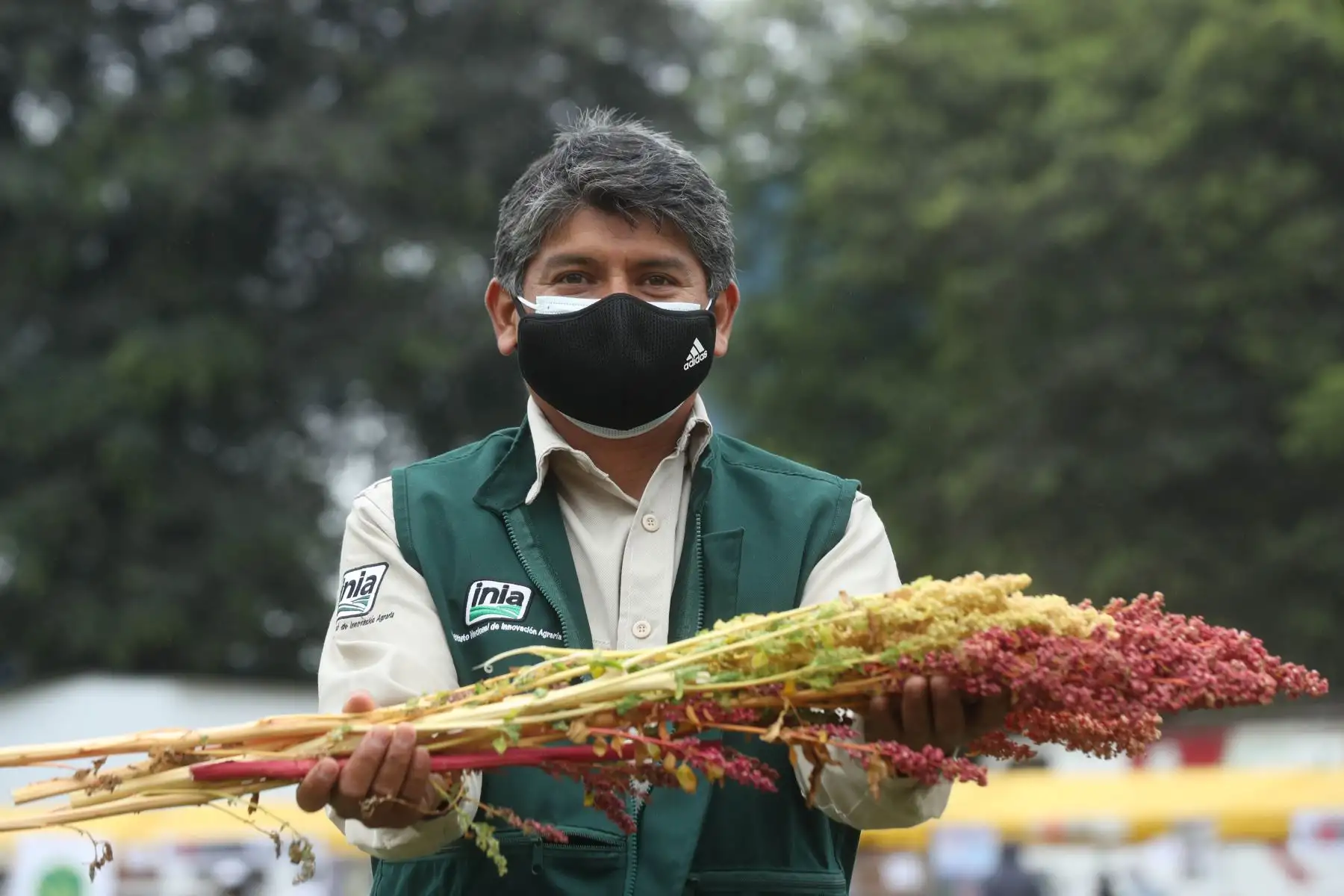 La actividad, denominada: “Un futuro sembrado hace miles de años”, tiene como objetivo la promoción y fomento del consumo de los granos andinos: quinua, cañihua, kiwicha o amaranto y chocho o tarhui, considerados en la actualidad como superalimentos o superfoods, debido a su alto valor nutricional. Foto: ANDINA/ Carla Patiño