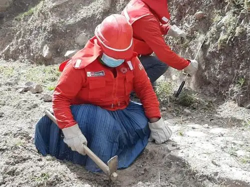 Foto: ANDINA/difusión.