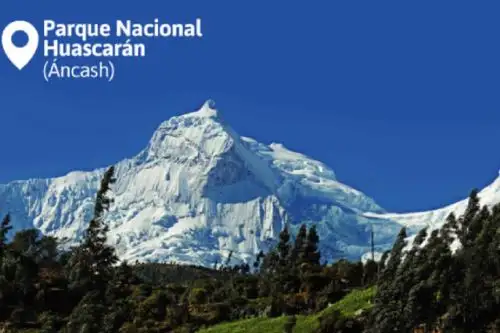 ANDINA/Difusión