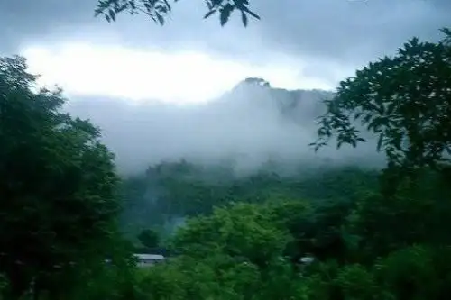 Durante el vigesimosegundo friaje se estiman temperaturas mínimas cercanas a los 19 grados Celsius en la selva centro y sur. Foto: ANDINA/Archivo