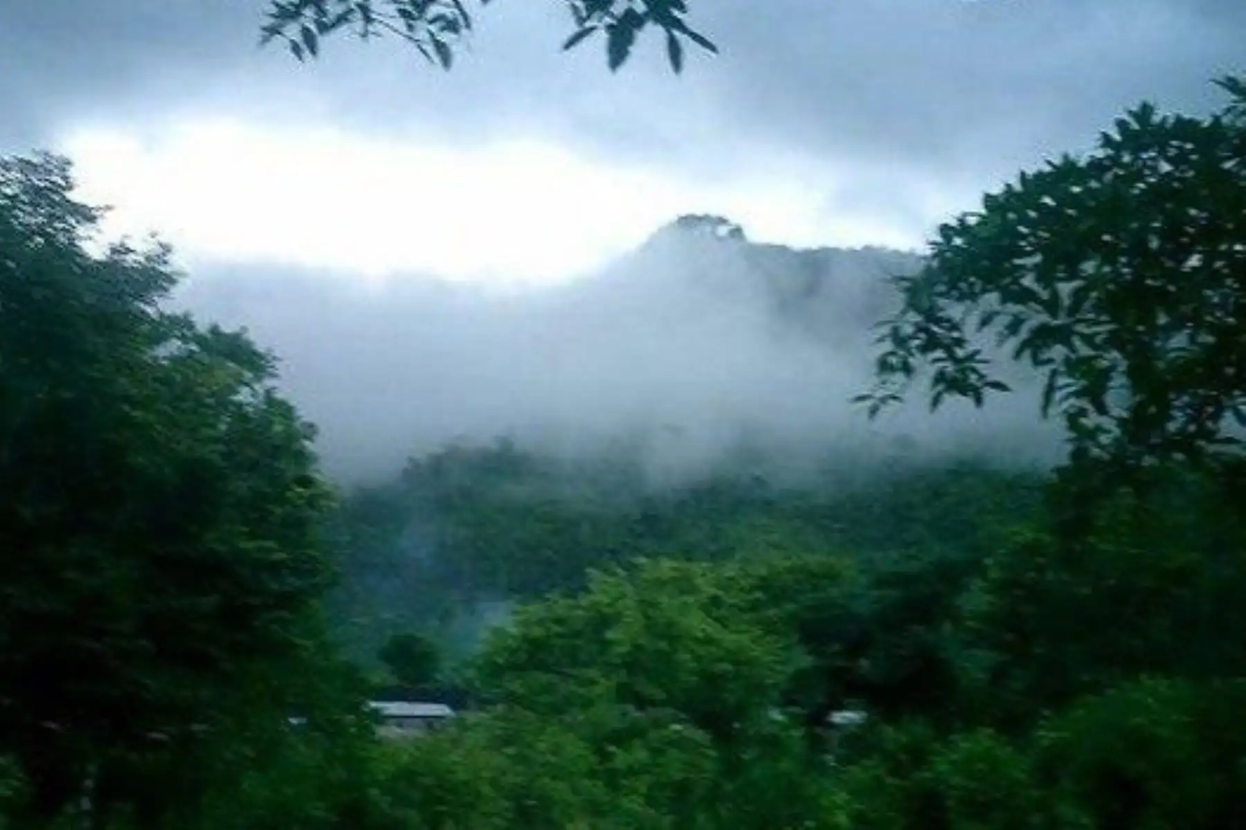 Durante el vigesimosegundo friaje se estiman temperaturas mínimas cercanas a los 19 grados Celsius en la selva centro y sur. Foto: ANDINA/Archivo