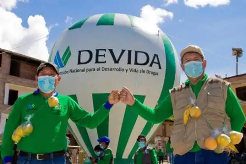 Durante el 2019 y 2020, Devida y el municipio de Anco reforestaron un total de mil hectáreas de suelos degradados. Foto: ANDINA/Devida.