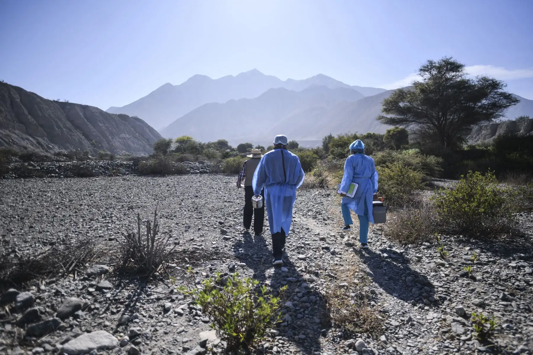 Trabajadores de salud cruzan el río Camaná para inocular a ancianos con dosis de la vacuna Pfizer-BioNTech contra COVID-19, en Arequipa, sur de Perú