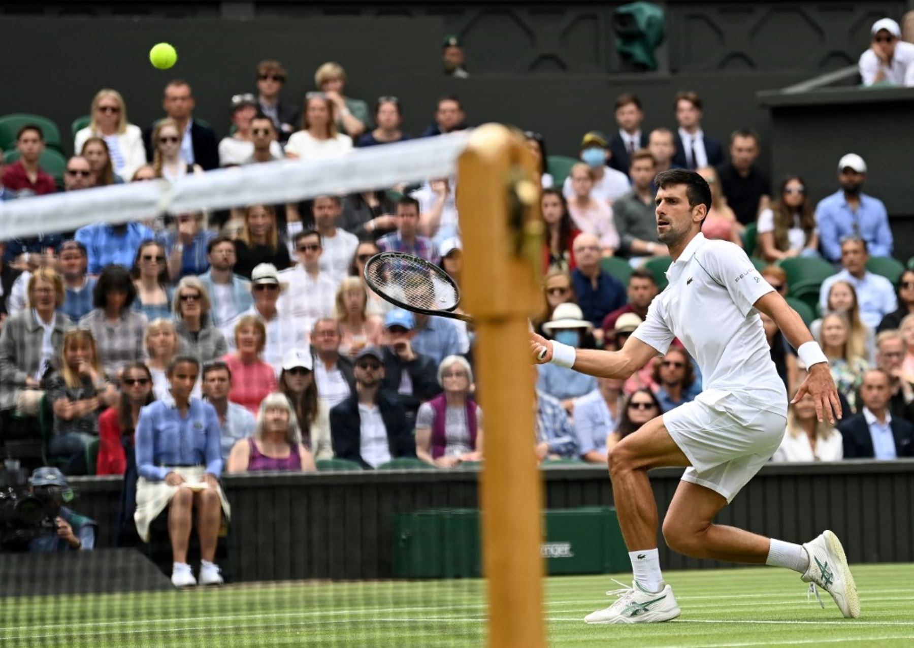 Novak Djokovic buscará su sexto título de Wimbledon