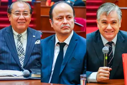Foto: ANDINA/difusión.