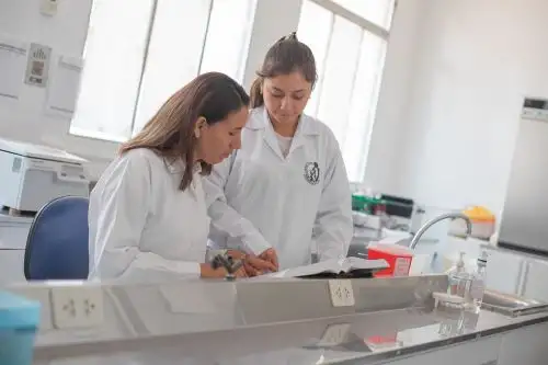 Beca Generación del Bicentenario: 72 % de ganadores estudió en universidades públicas. Foto: ANDINA/Difusión.