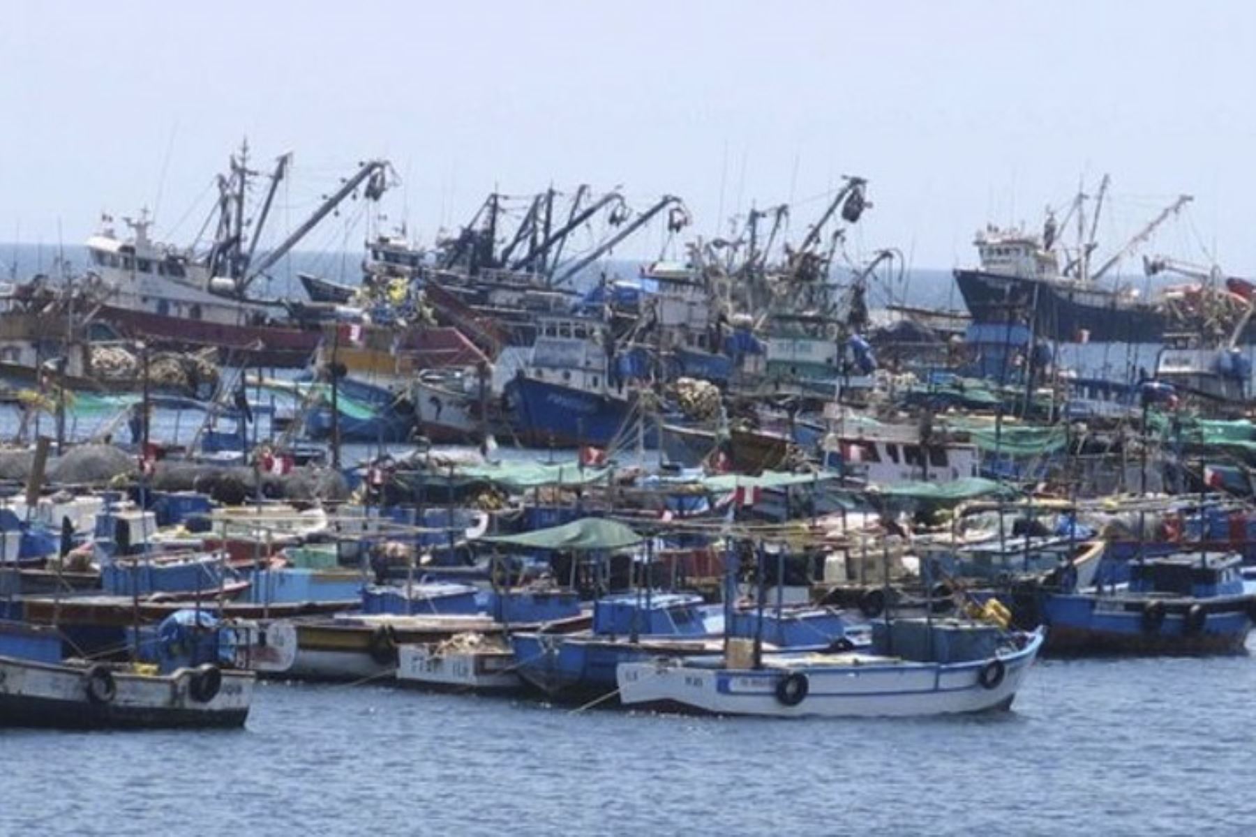 El Indeci recomienda suspender las actividades portuarias y de pesca, así como asegurar las embarcaciones o retirar las flotas pequeñas hacia tierra firme. Foto: ANDINA/archivo