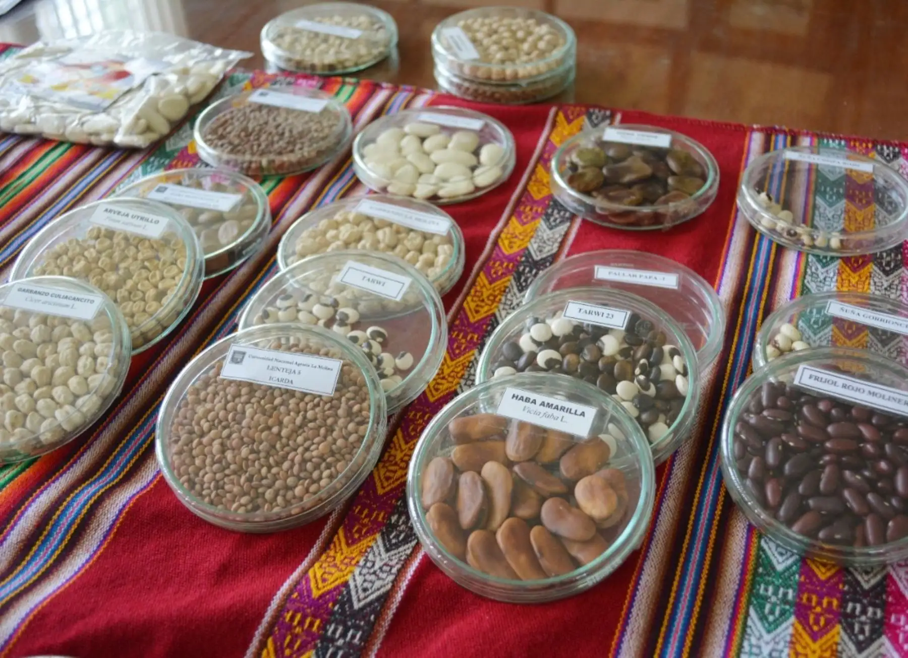 Día Nacional de las Legumbres. ANDINA/Difusión