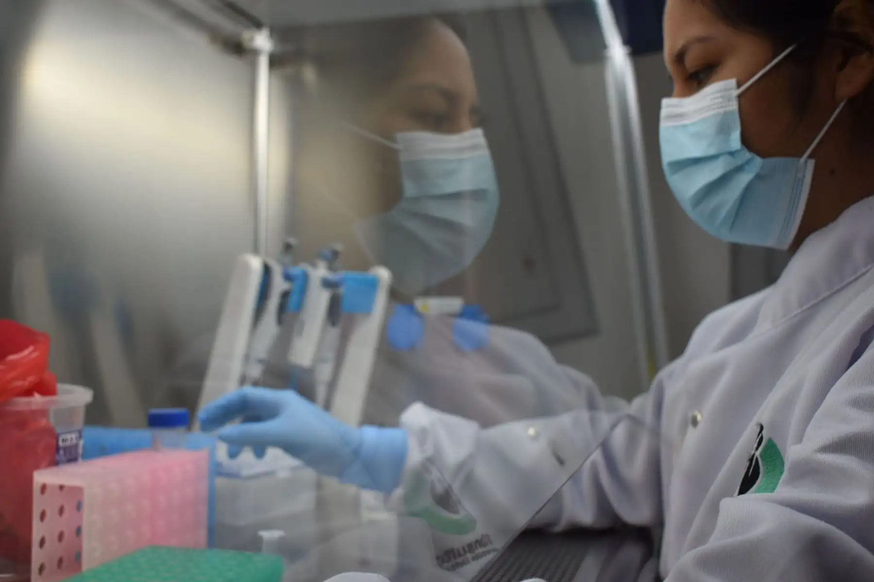Luis Saravia junto a su equipo de científicos desarrollaron este kit que permitirá la detección y tipificación en campo de la bacteria Avibacterium paragallinarum que causa Coriza infecciosa aviar en cuestión de minutos.