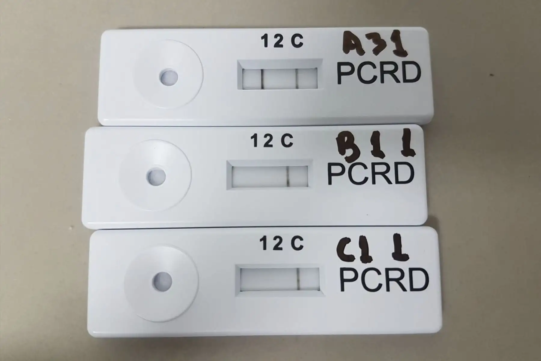 Luis Saravia junto a su equipo de científicos desarrollaron este kit que permitirá la detección y tipificación en campo de la bacteria Avibacterium paragallinarum que causa Coriza infecciosa aviar en cuestión de minutos.