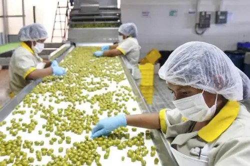 Trabajadores. ANDINA/Difusión